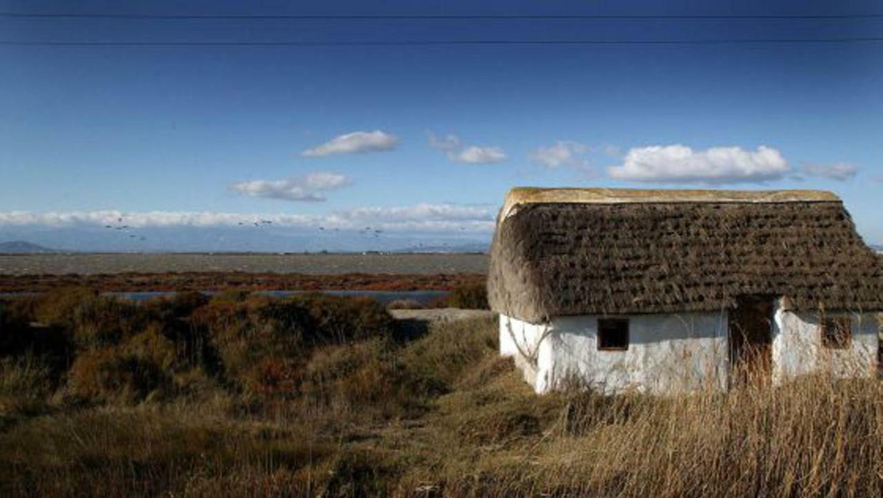 Mi Apartamento En El Delta Del Ebro+ Deltebre Exterior photo